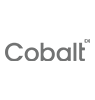 Cobalt Summer Party Icon